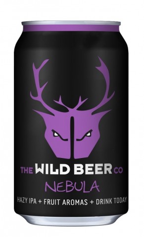 Wild Beer Co Nebula Cans